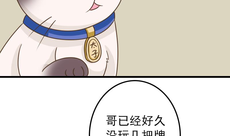 第13话 女人和宠物禁止入内(1/2)-第13话