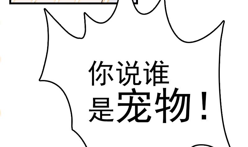 第13话 女人和宠物禁止入内(1/2)-第13话