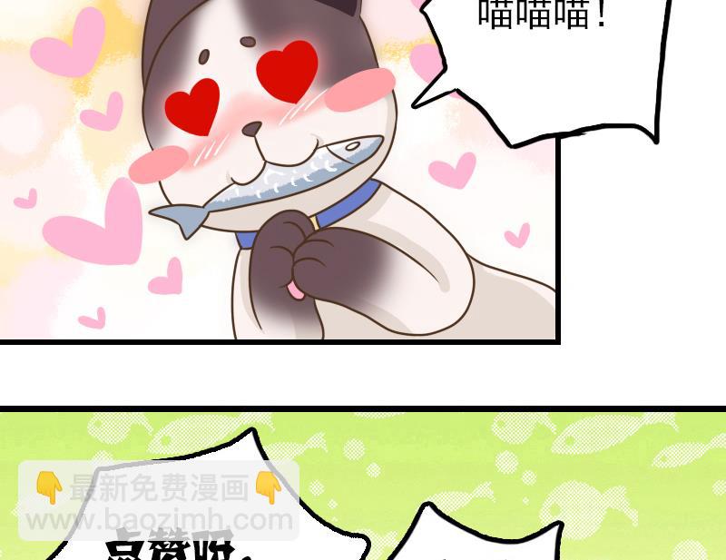 第15话 专业卖队友-第15话