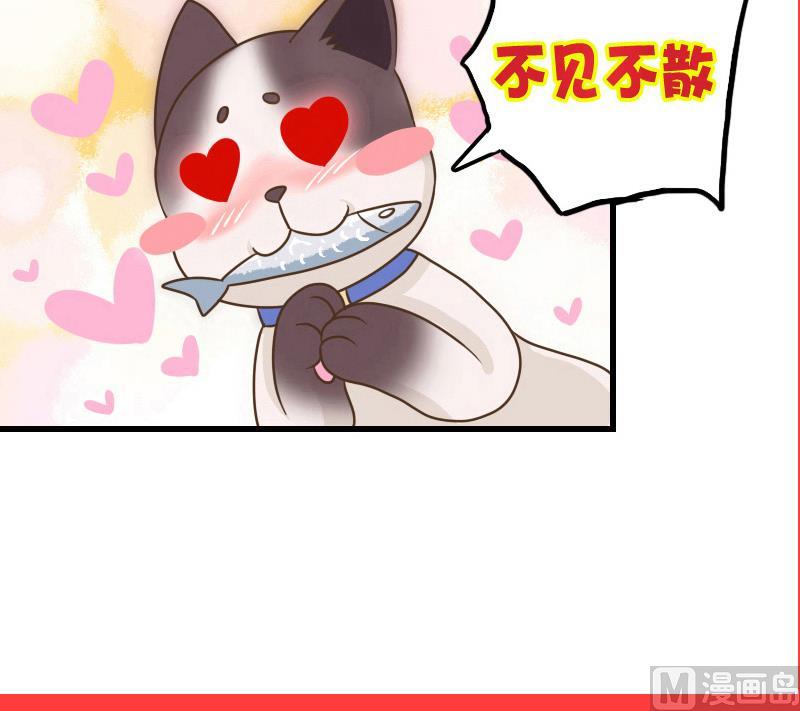 第31话 芙蓉小姐姐-第31话