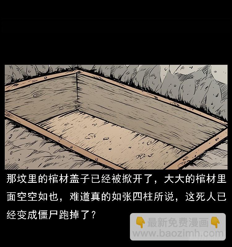 132坟地诡影(1/2)-第117话
