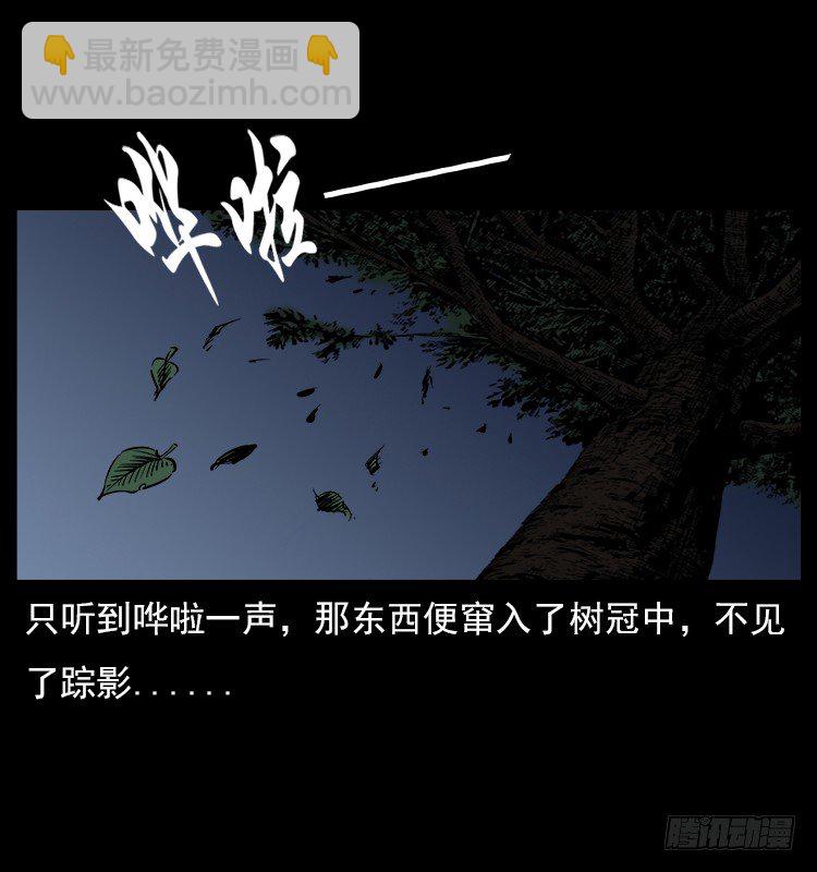 21抓捕吸血鬼1(1/2)-第21话
