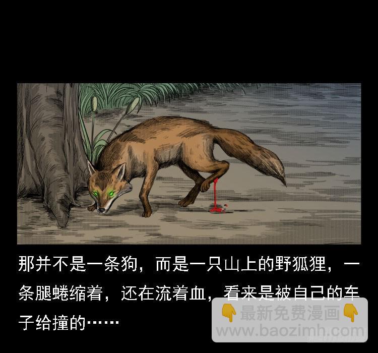 71原始森林中的鬼车（下）(1/2)-第89话