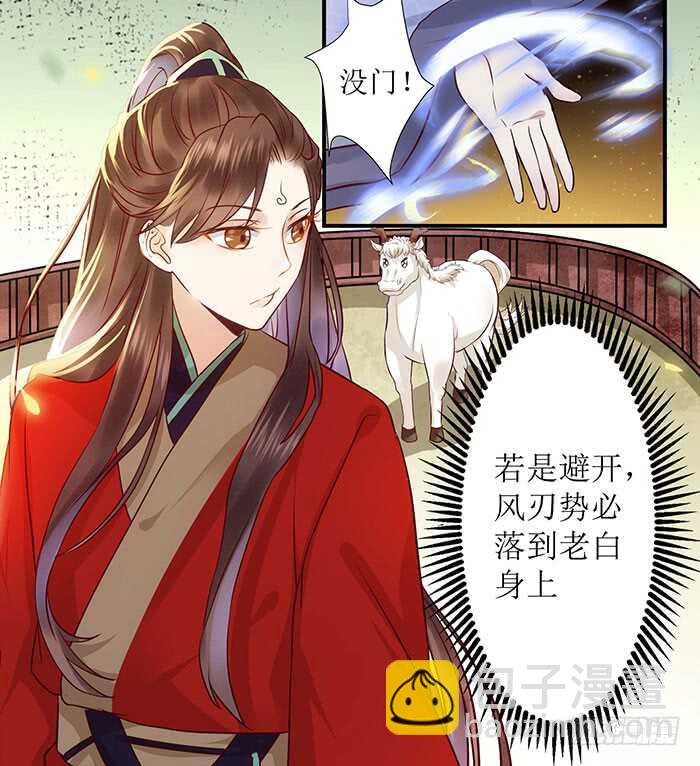 🍸鬼医凤九 老白被偷 第11页