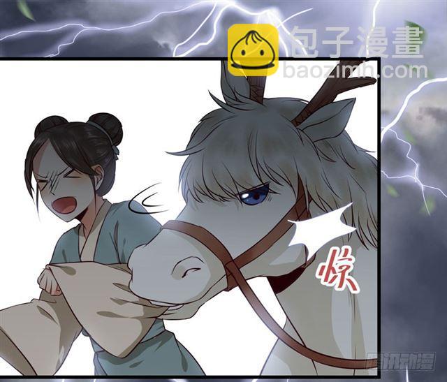 🍸鬼医凤九 引来天雷 第41页