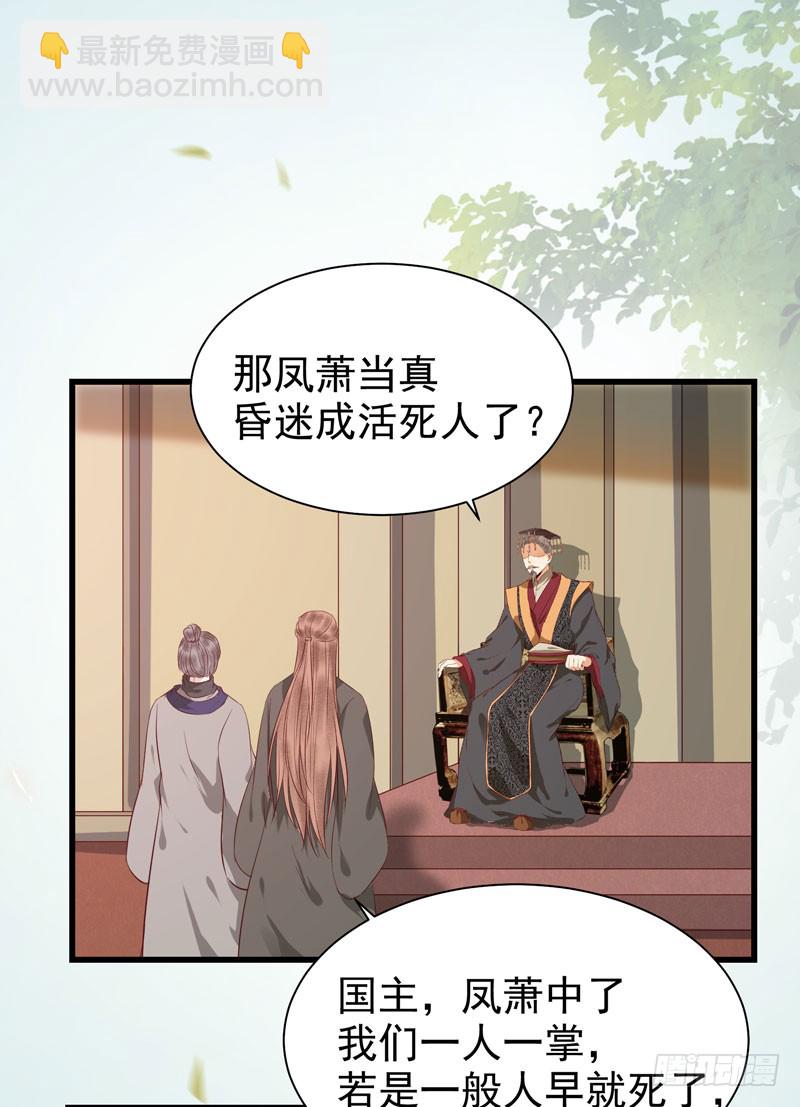 🍸鬼医凤九 凤府旁支 第20页