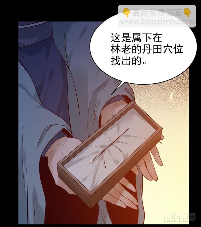 🍸鬼医凤九 强娶凤九 第11页