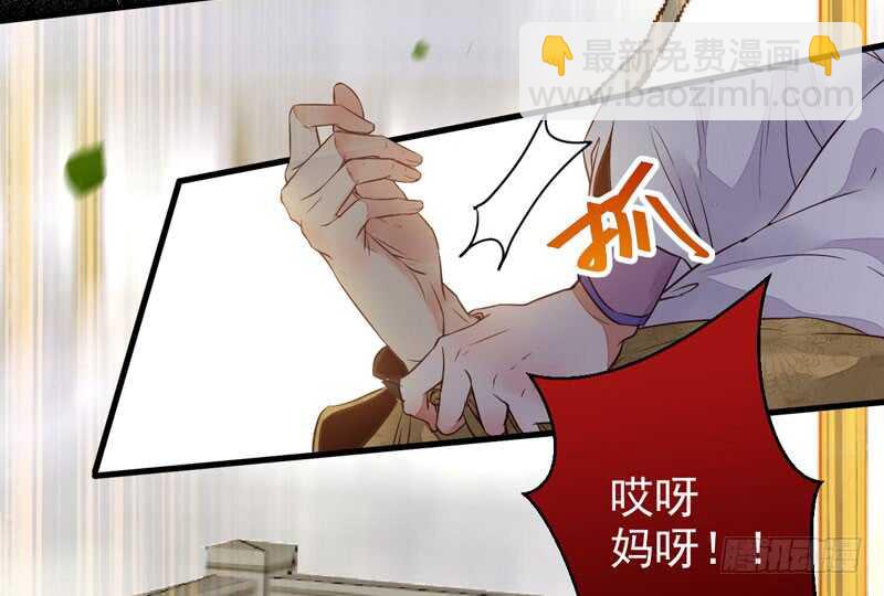 🍸鬼医凤九 胖揍皇子 第11页