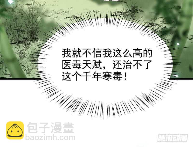 🍸鬼医凤九 胖揍皇子 第30页