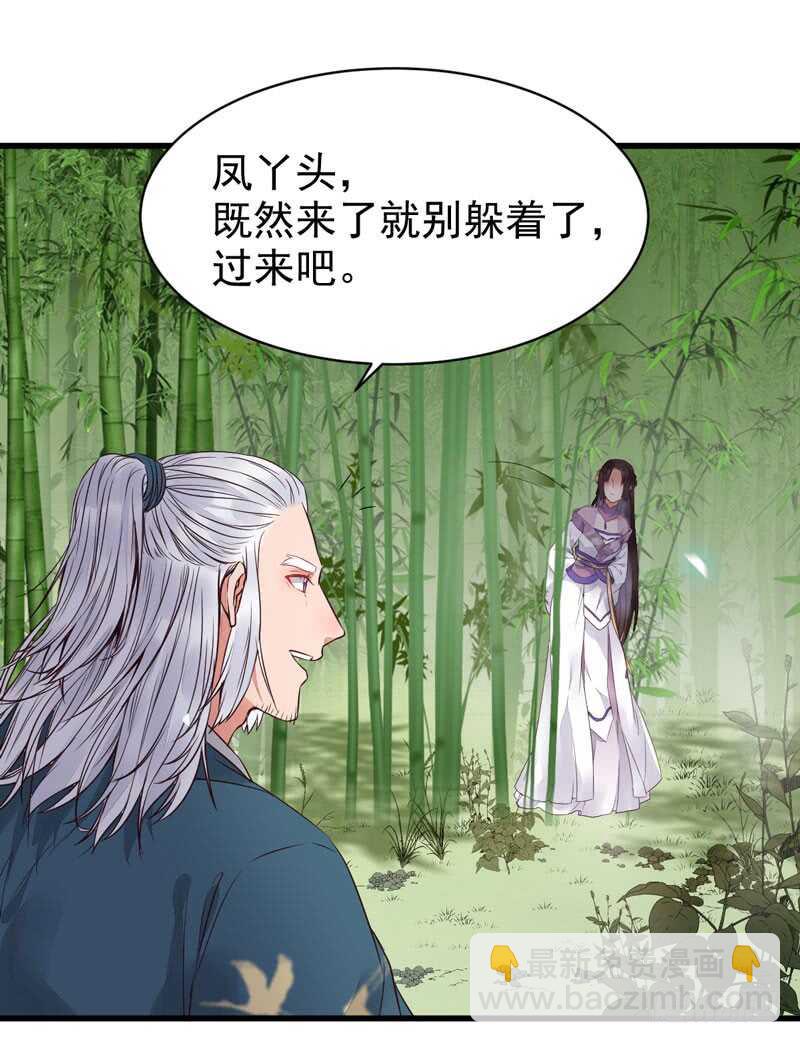 🍸鬼医凤九 胖揍皇子 第33页