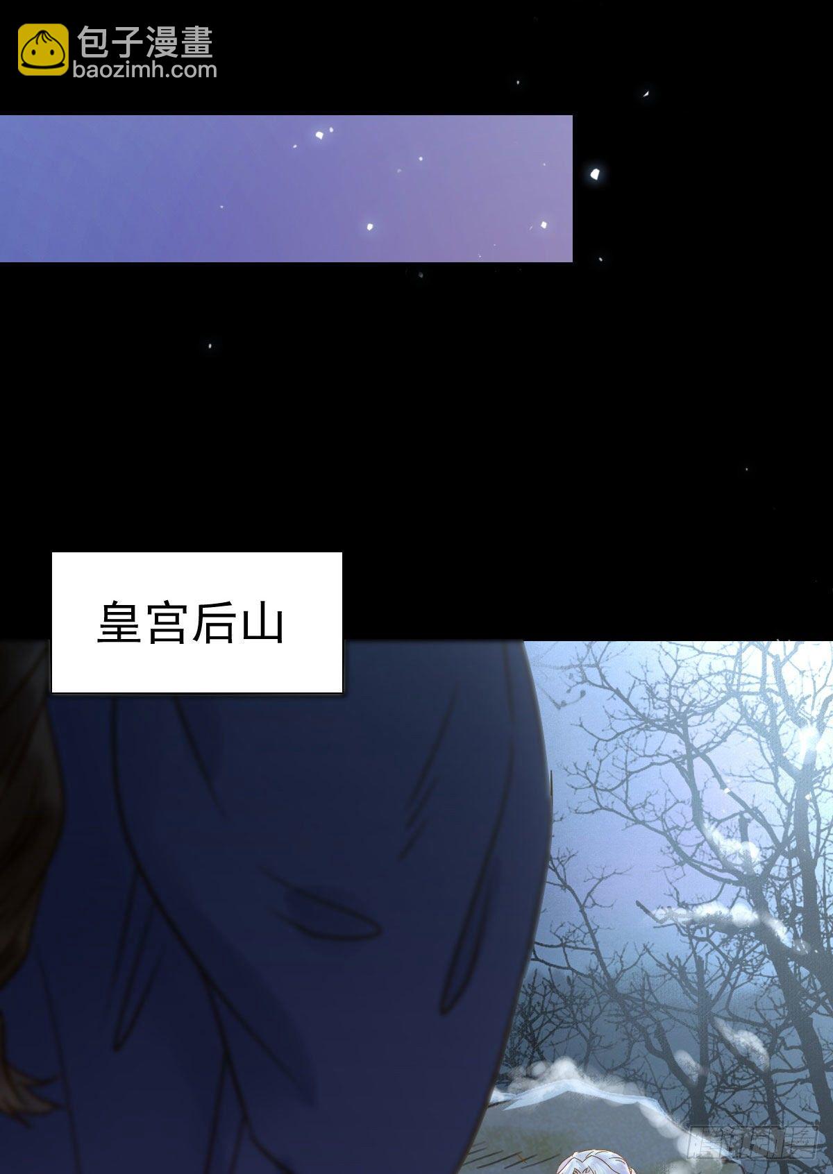 🍸鬼医凤九 凤星现，异魂入世 第29页