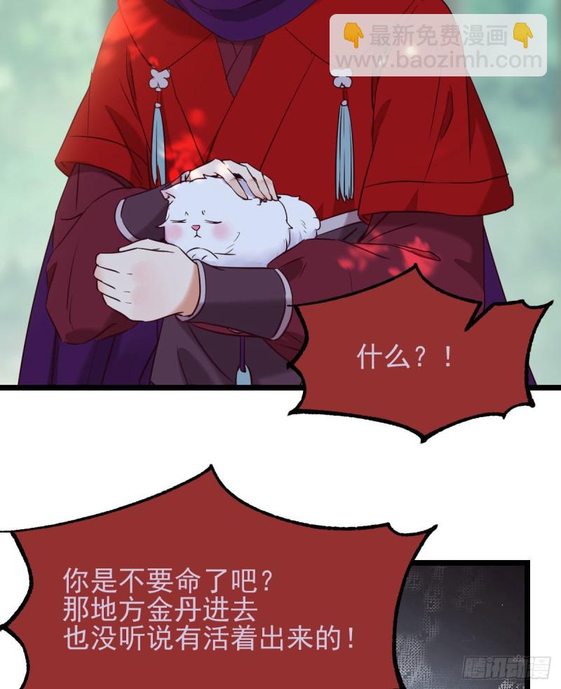 🍸鬼医凤九 敢不敢同行历练 第11页