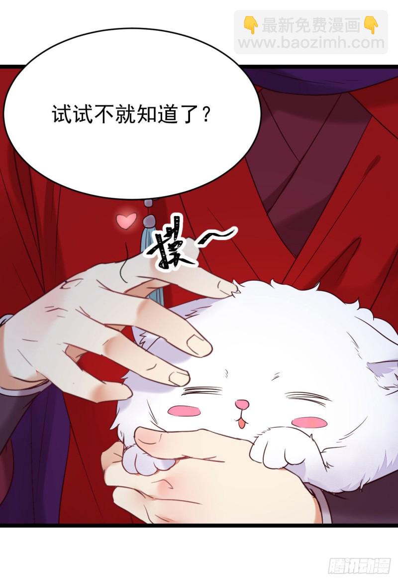 🍸鬼医凤九 敢不敢同行历练 第13页
