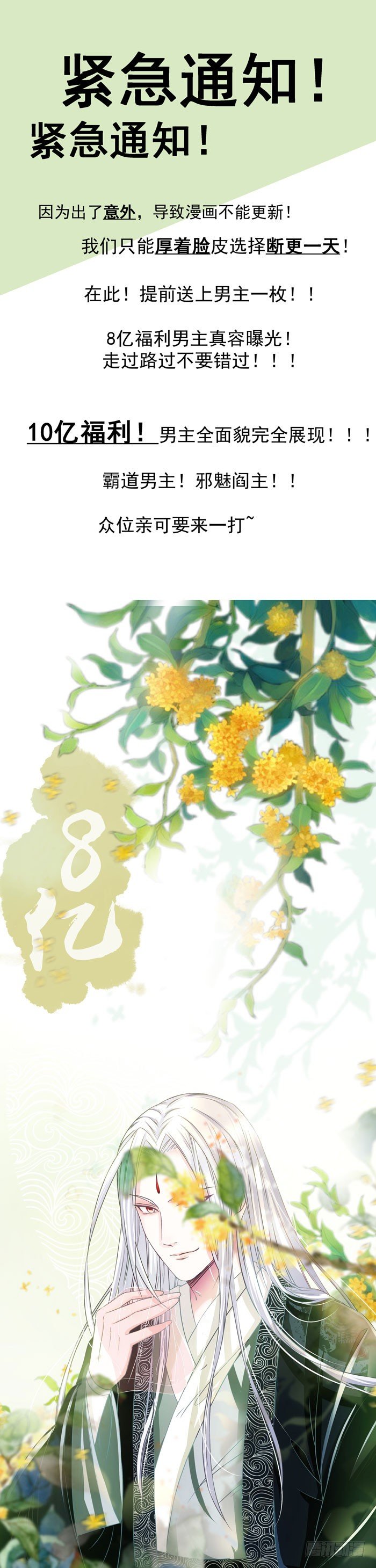 🍸鬼医凤九 男主来啦 第1页