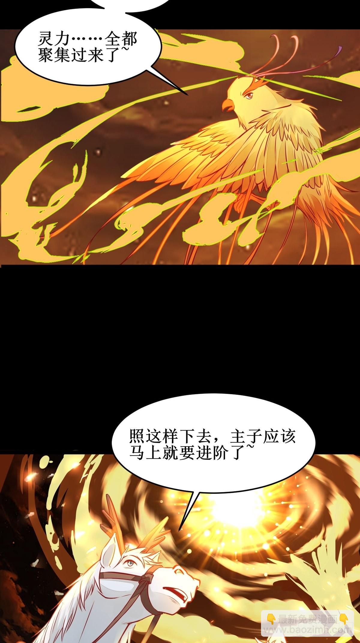 🍸鬼医凤九 进阶！ 第11页