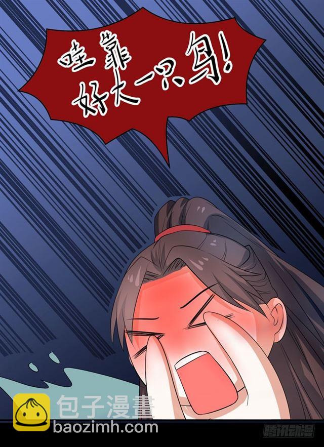 🍸鬼医凤九 好大一只“鸟” 第29页