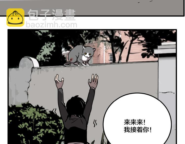 第19话 群猫(1/3)-第21话