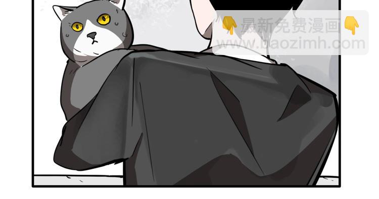 第19话 群猫(1/3)-第21话