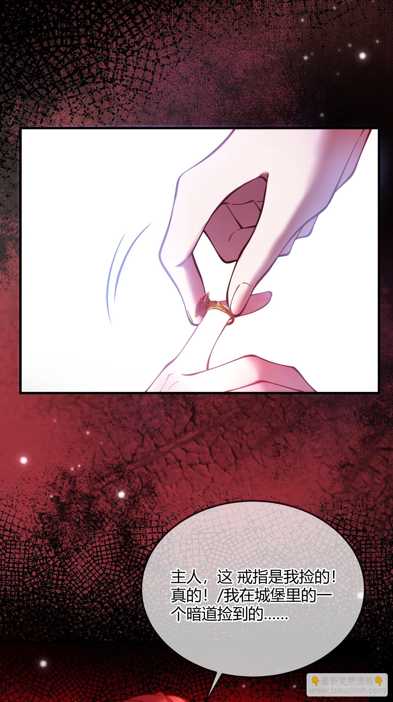 第五十七话 再遇德维特-第57话