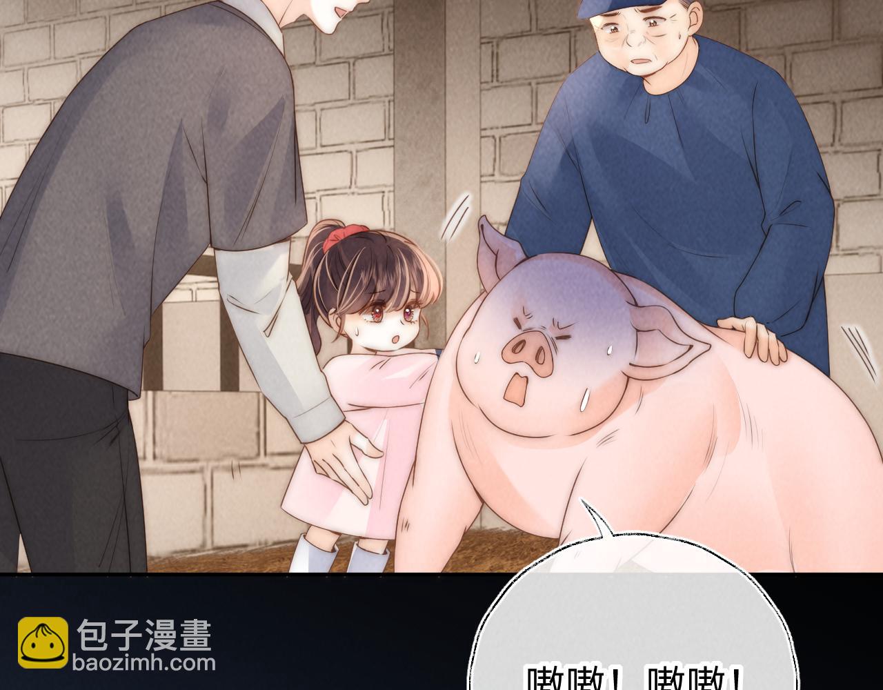 第21话 助力猪妈妈生崽崽(1/2)-第21话