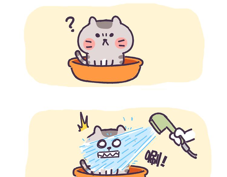 第15话 养猫人才懂的无奈差异-第15话