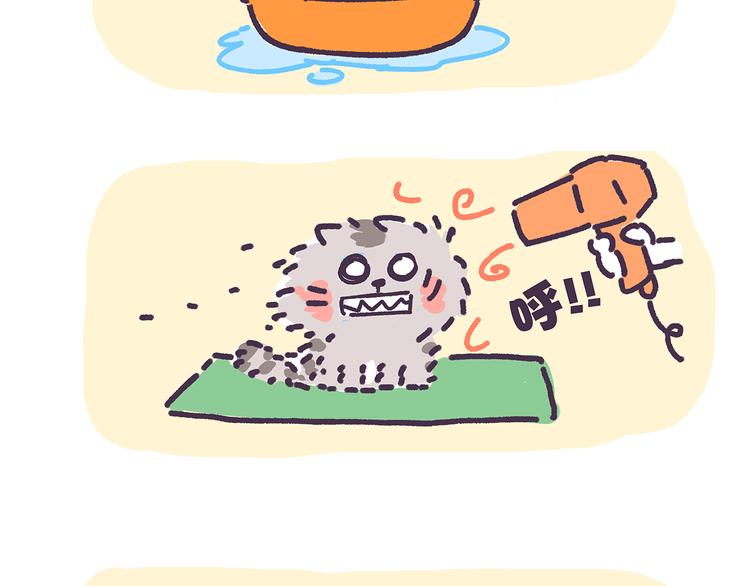 第15话 养猫人才懂的无奈差异-第15话