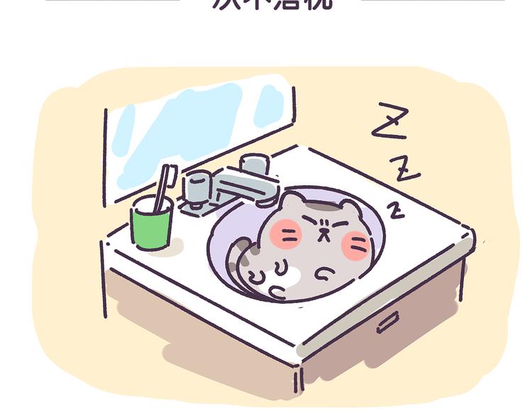第15话 养猫人才懂的无奈差异-第15话