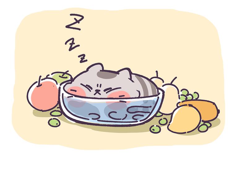 第15话 养猫人才懂的无奈差异-第15话