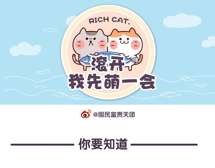 第41话 铲屎官必读-第41话