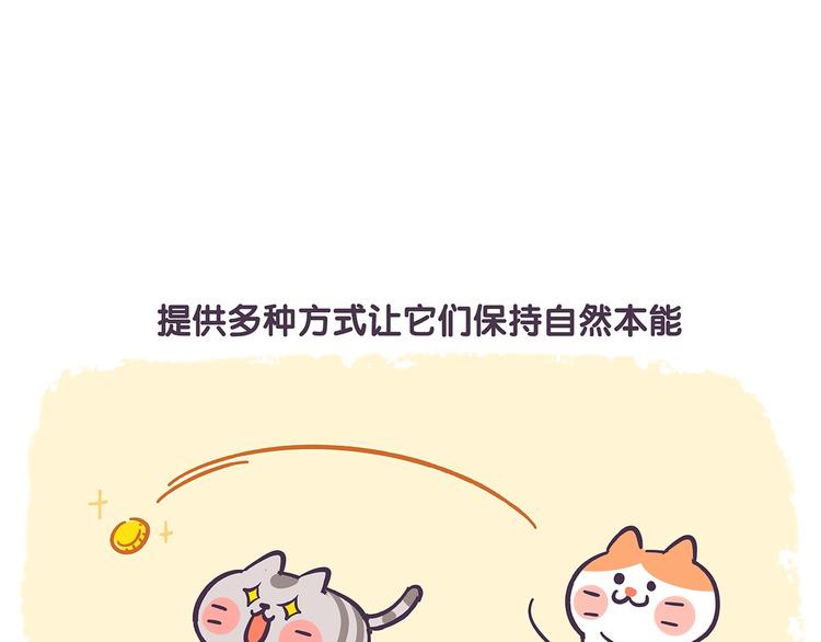第41话 铲屎官必读-第41话