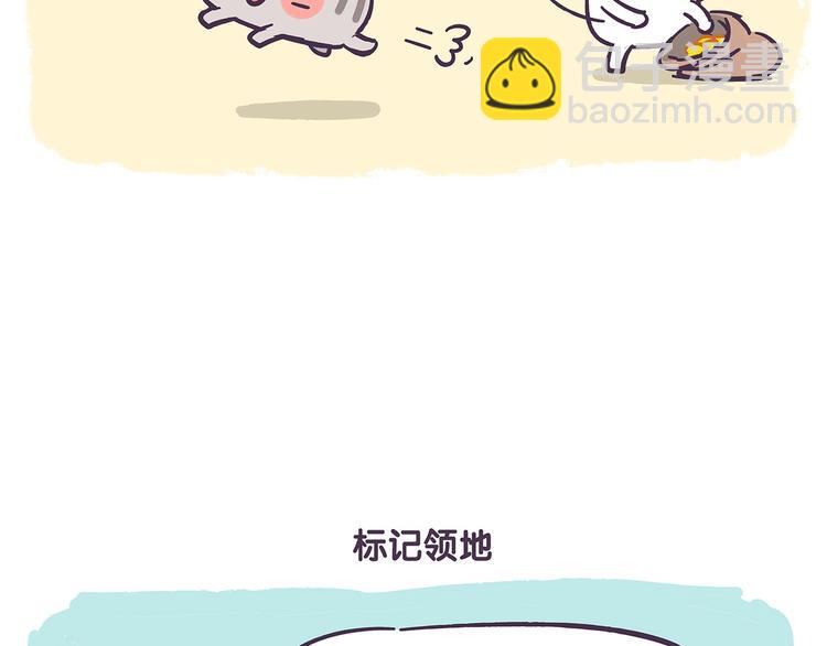 第41话 铲屎官必读-第41话