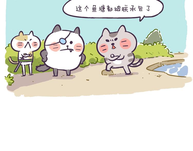 第41话 铲屎官必读-第41话