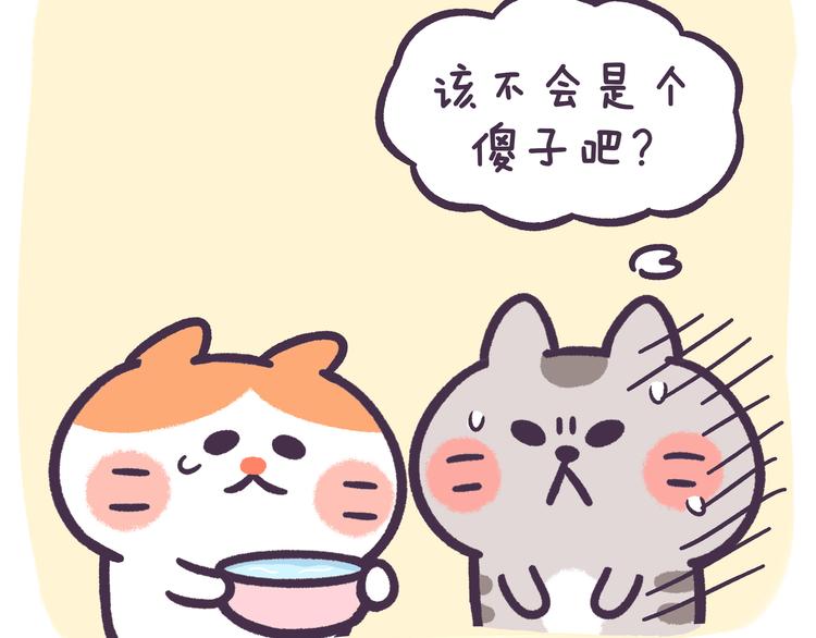 第45话 该不会是个傻子吧！-第45话