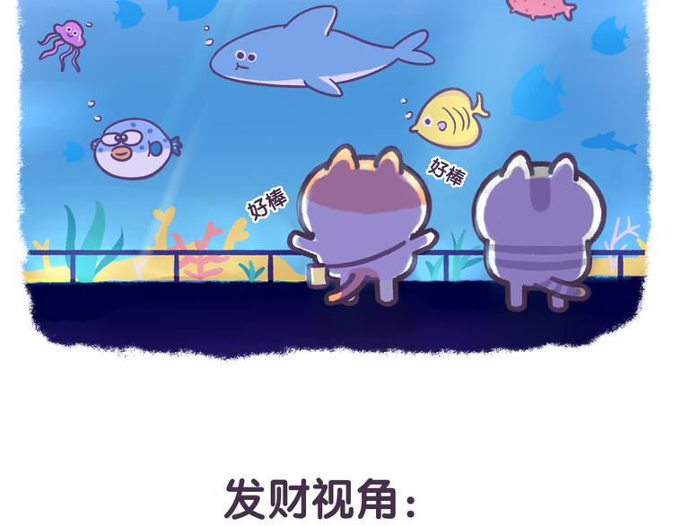 第49话 眼中的水族馆-第49话