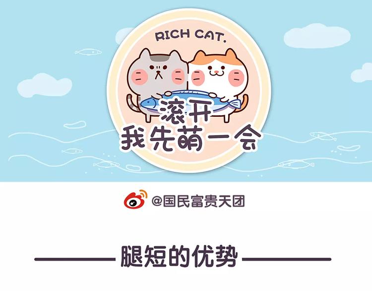 第67话 腿短了不起啊-第67话