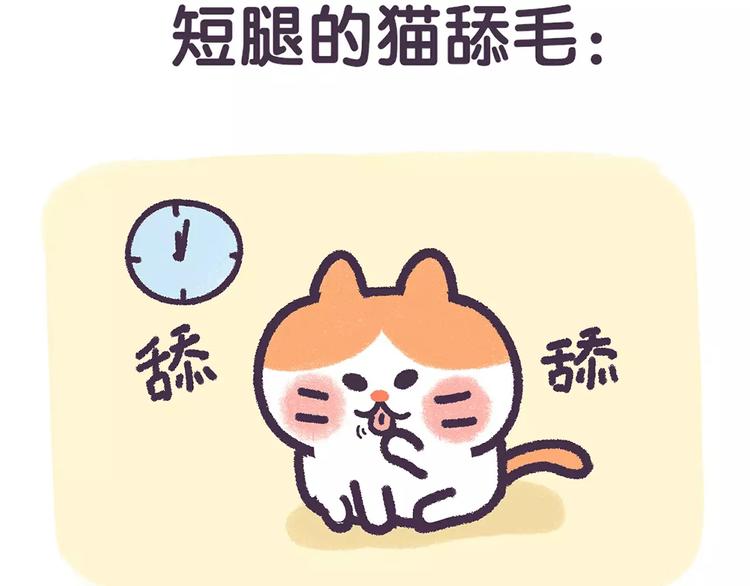 第67话 腿短了不起啊-第67话