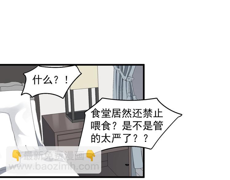 第102话 背影(1/2)-第105话