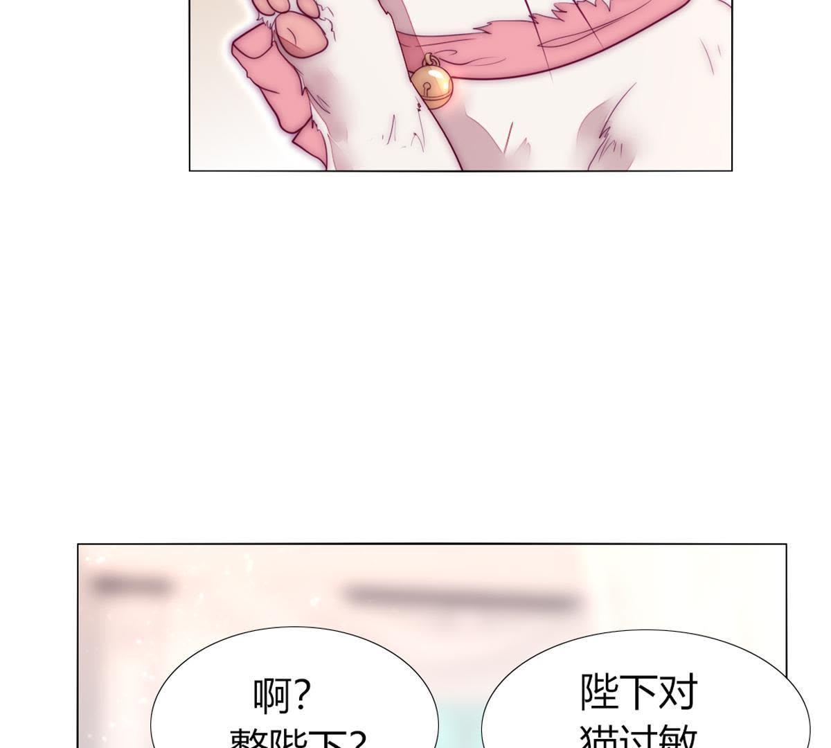 第36话：这就是传说中的喵喵？(1/2)-第37话