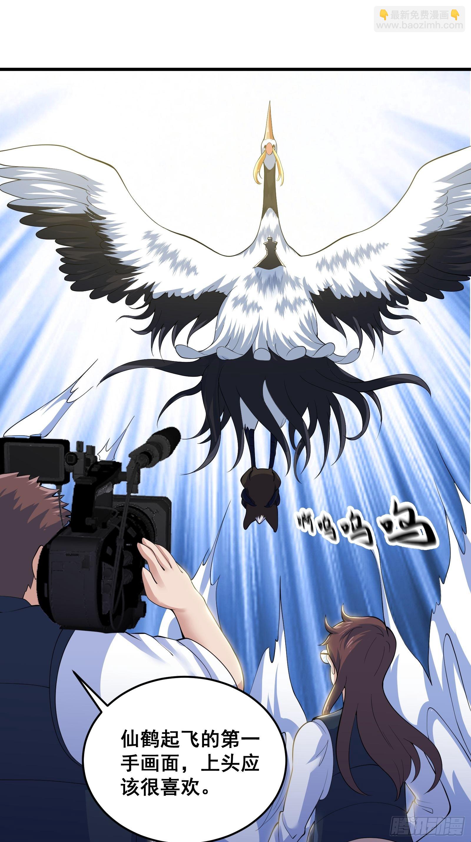 010 这熊是有故事的-第11话