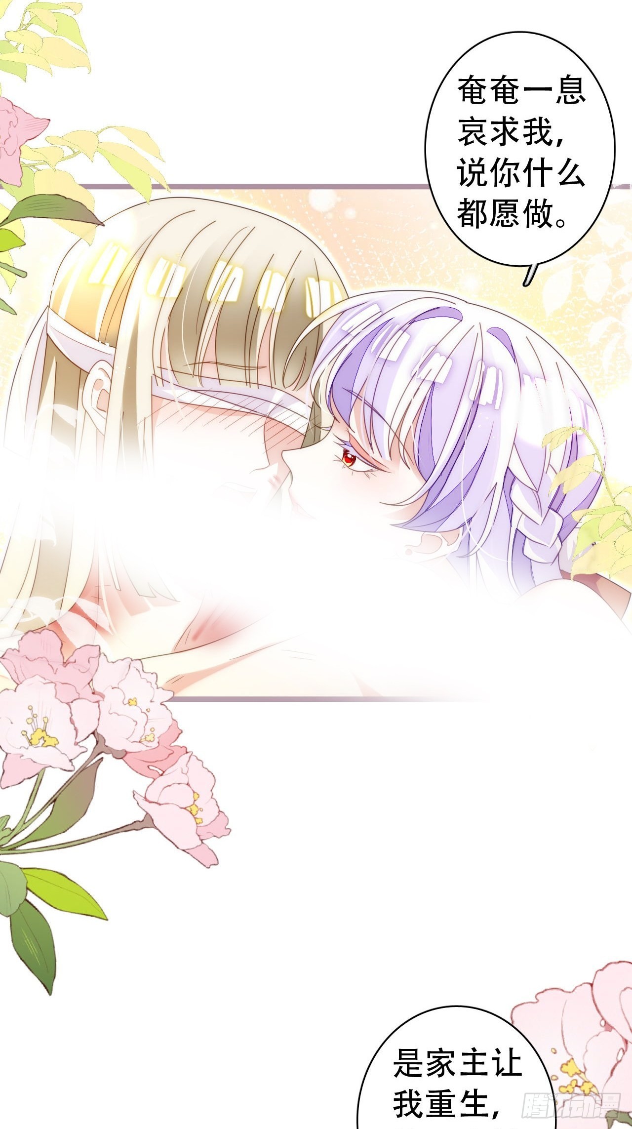 云容花开&middot;贰(1/2)-第39话