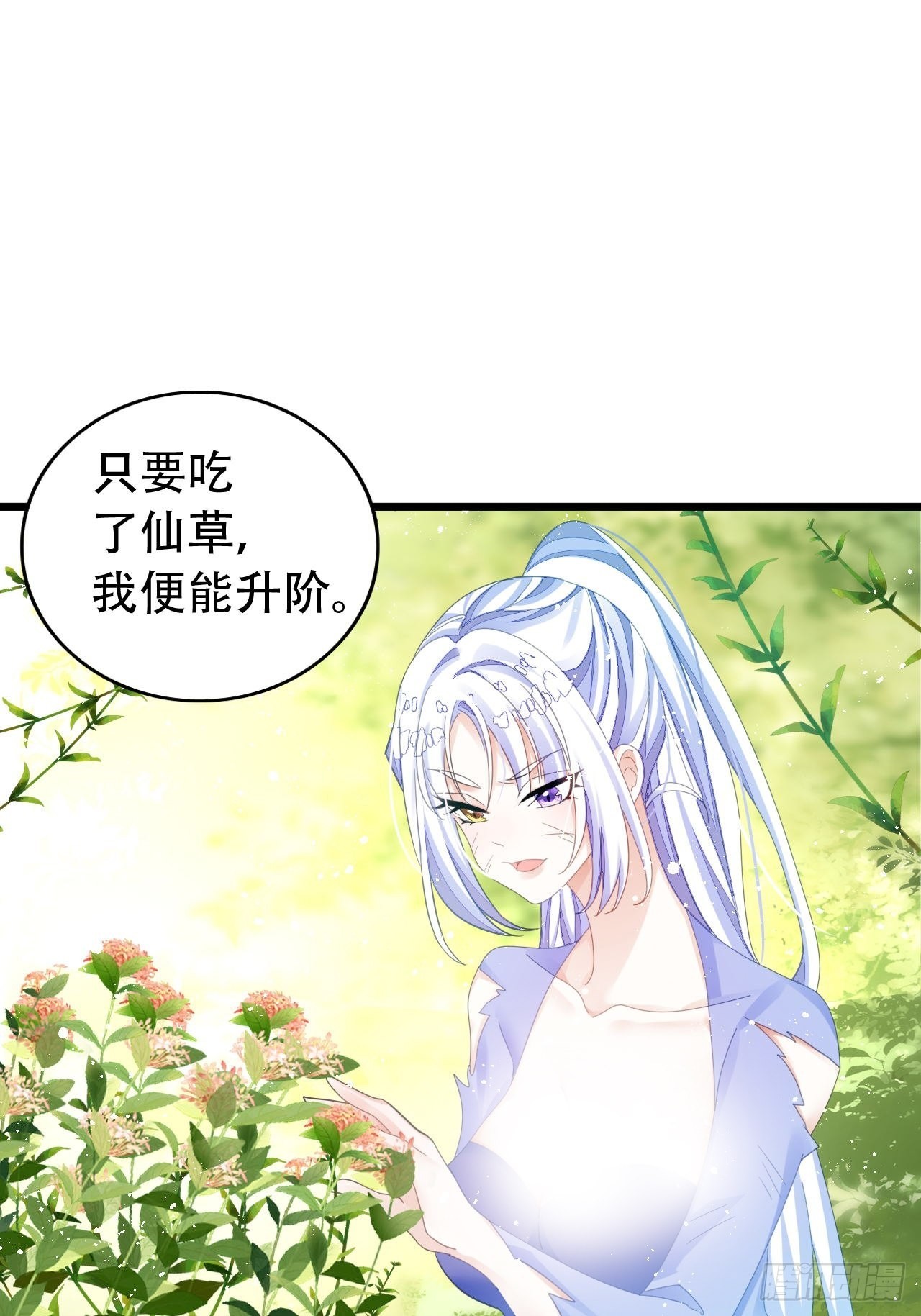 三修局4选2！禁止小盆友偷听！-第41话