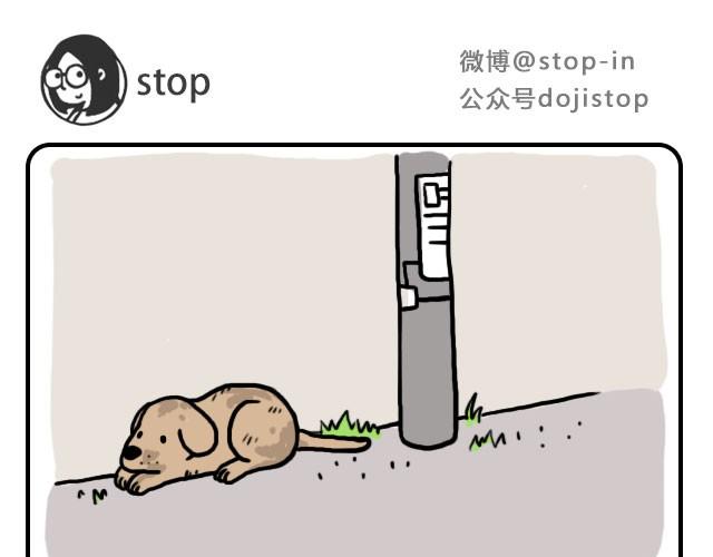 单身狗保护协会-第19话