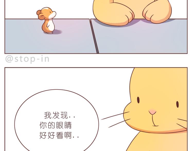 第228话 我的眼里都是你-第229话