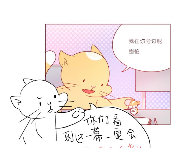 第242话 我在呢-第243话