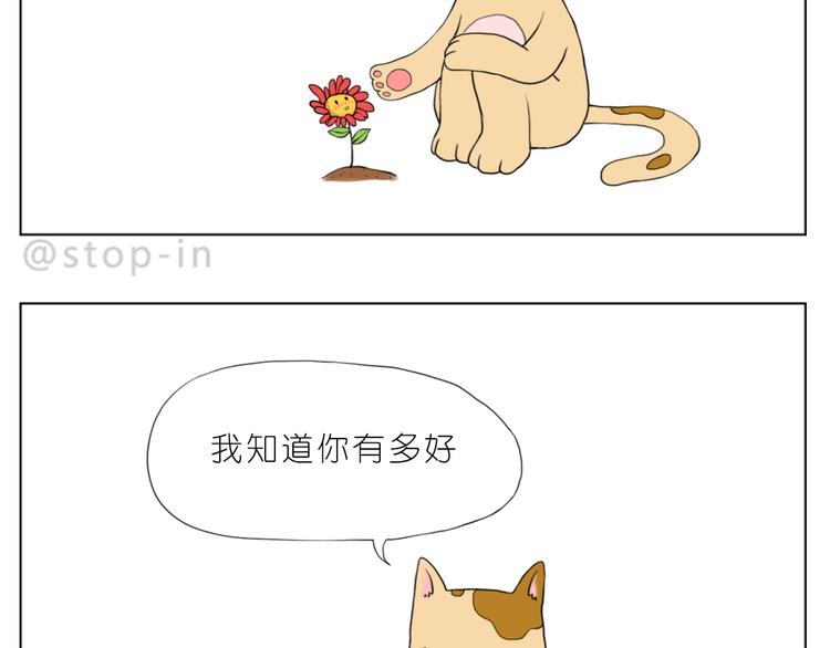 我知道你有多好-第77话