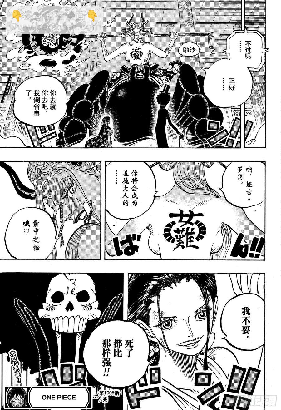 🍹航海王 第1005话 恶魔之子 第17页