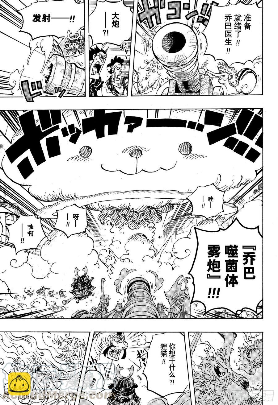 🍹航海王 第1007话 狸猫医生 第9页