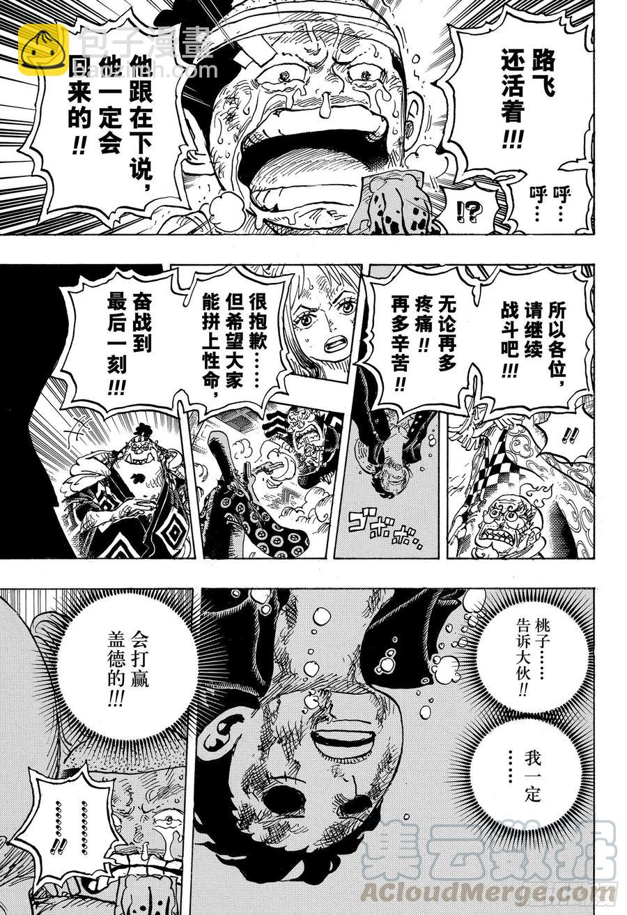 🍹航海王 第1015话 孽缘 第13页