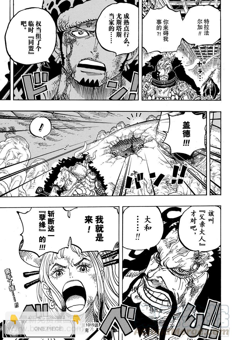 🍹航海王 第1015话 孽缘 第17页