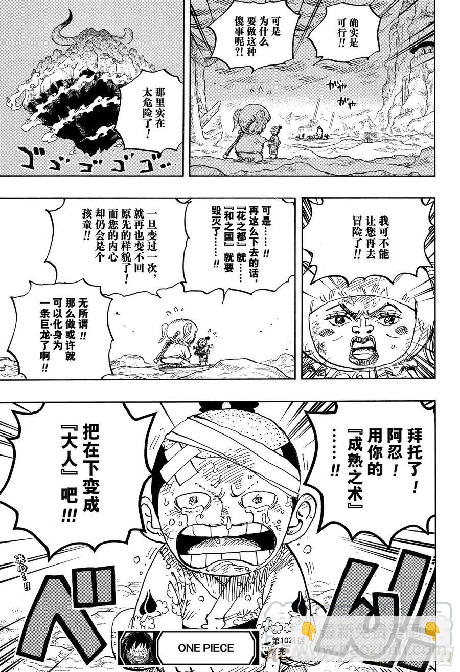 🍹航海王 第1021话 恶魔 第17页